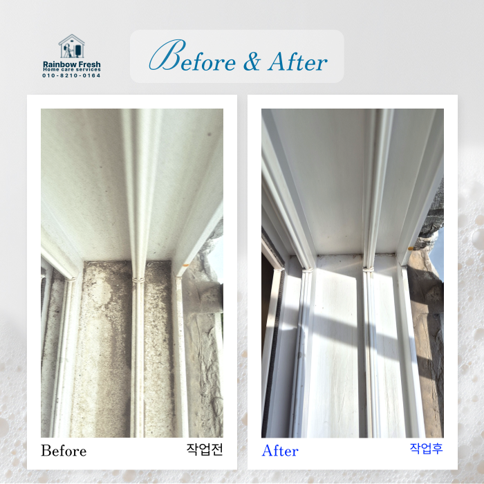 이사 청소 · 생활오염